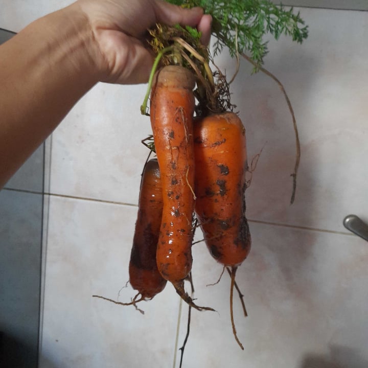 review photo of Terra Sana Azúcar de caña shared by @chinavegana on 10 Aug 2022 - review