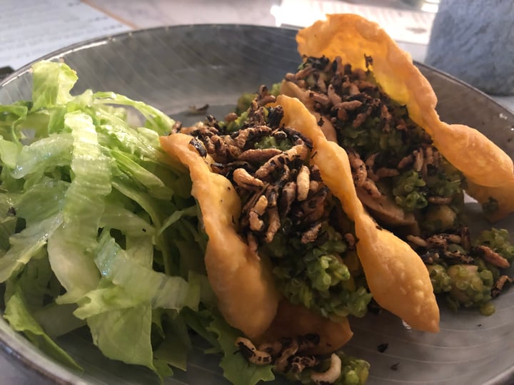 photo of HRVST Cafe & Bar Pumpkin taco shell with chickpea, lentil, quinoa, puffed wild rice, gremolata, iceberg lettuce shared by @noll-fyra on  02 May 2018 - review