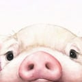 teachermrsg @teachermrsg profile image
