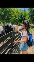 carlaayes @carlaayes profile image
