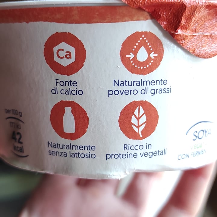 photo of Alpro Yogurt Soia Al Naturale shared by @alessia28 on  26 Mar 2022 - review