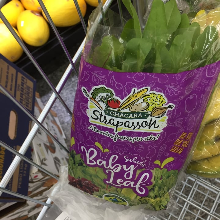 review photo of chacara strapassoli legumes e verduras shared by @carlosmatei on 08 May 2022 - review