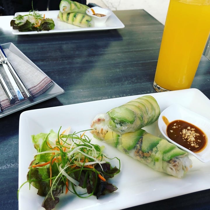 photo of Vevi Restaurant Avocado Summer Rolls shared by @viktor1805 on  04 Aug 2020 - review