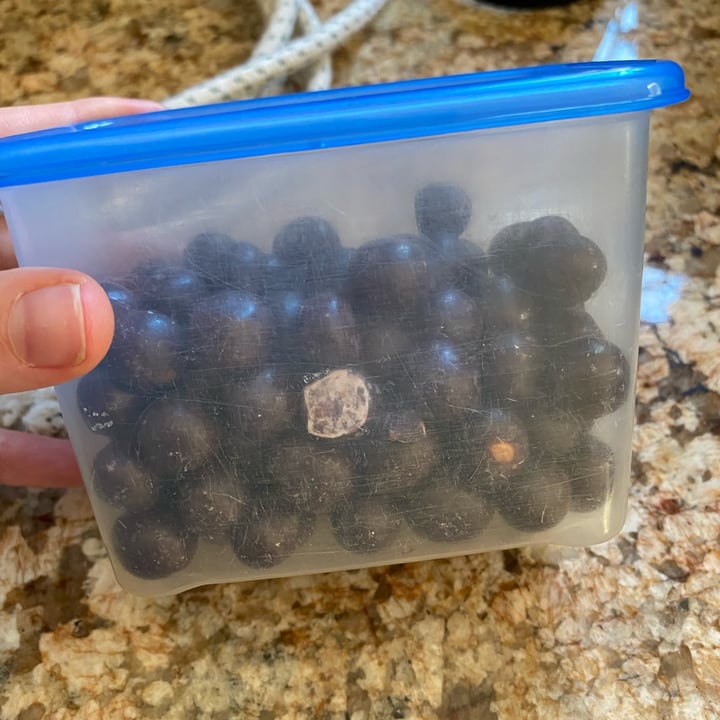 photo of Orbs Dry Roasted Chickpeas In Oat M*lk Chocolate shared by @sarbearcor on  23 Aug 2022 - review
