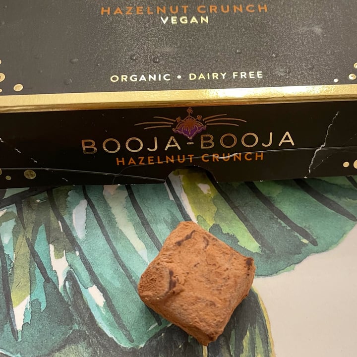 photo of Booja-Booja a multi award winning selection of organic dairy free chocolate truffles shared by @familywanderful on  29 Oct 2021 - review
