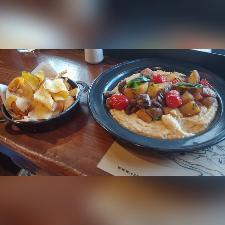 review photo of Cervecería Patagonia Hongos Con Humus shared by @simpsonsvegans on 23 Apr 2021 - review