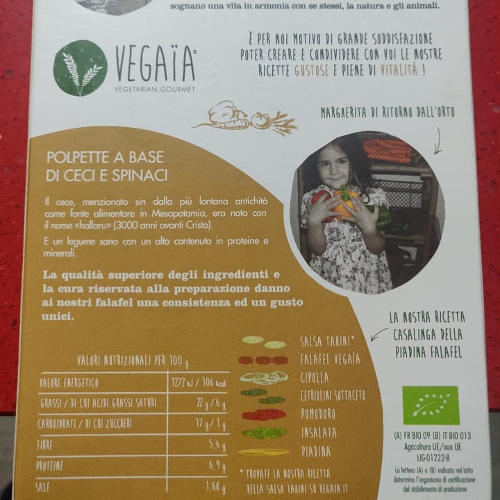 review photo of Vegaïa Falafel ceci e spinaci shared by @gabbogreen on 20 Aug 2021 - review