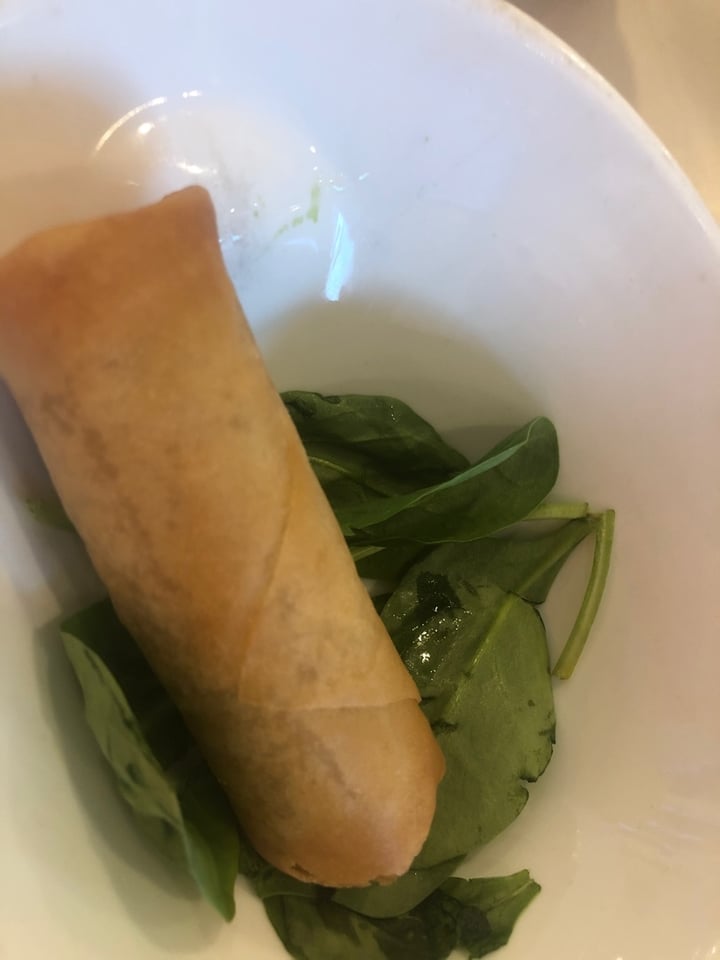 photo of VeGreen Vegetarian Fusion Restaurant Spring Rolls shared by @courtlynn on  04 Mar 2020 - review