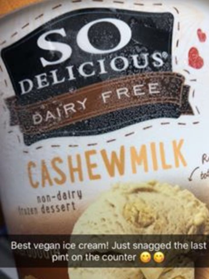photo of So Delicious Dairy Free Salted Caramel Cluster Cashewmilk Frozen Dessert shared by @veggiegirl on  20 Jun 2019 - review