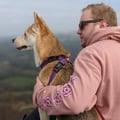 @mbusby993 profile image