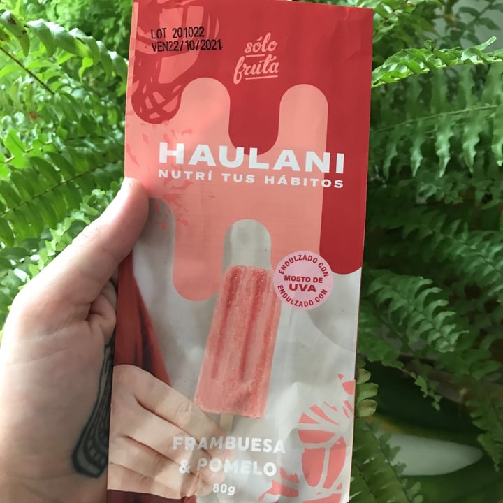 photo of Haulani Paleta De Frambuesa Y Pomelo shared by @lcircel on  31 Jan 2021 - review