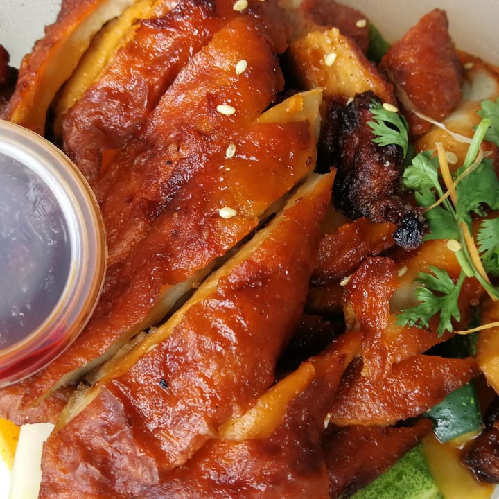 photo of Kiat Lim Vegetarian Food Braised Mock Duck shared by @varun on  31 May 2020 - review