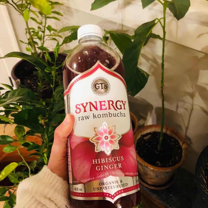 photo of GT’s Living Foods Hibiscus Ginger Kombucha shared by @izzyannie44 on  03 Mar 2021 - review