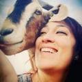 blankapola @blankapola profile image