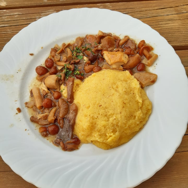 photo of Ristorante Maria - Passo Pordoi Polenta e funghi shared by @alloro on  03 Jul 2022 - review