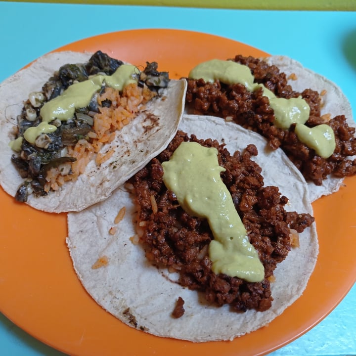 photo of Tacotlan Vegano Tacos Veganos shared by @mayraponze on  15 Nov 2020 - review