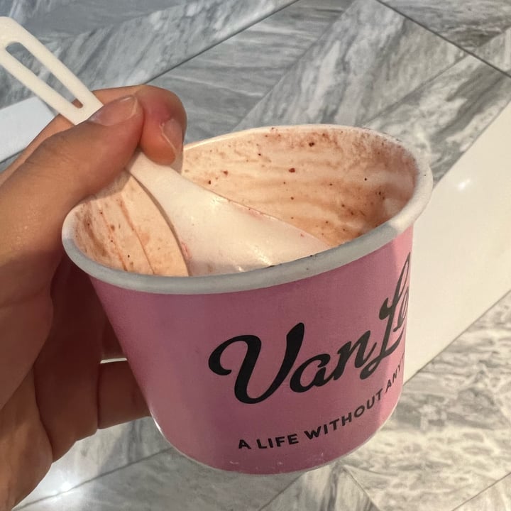 photo of Van Leeuwen Ice Cream Strawberry Sumac Sorbet (vegan) shared by @consciouscookieee on  20 Sep 2022 - review
