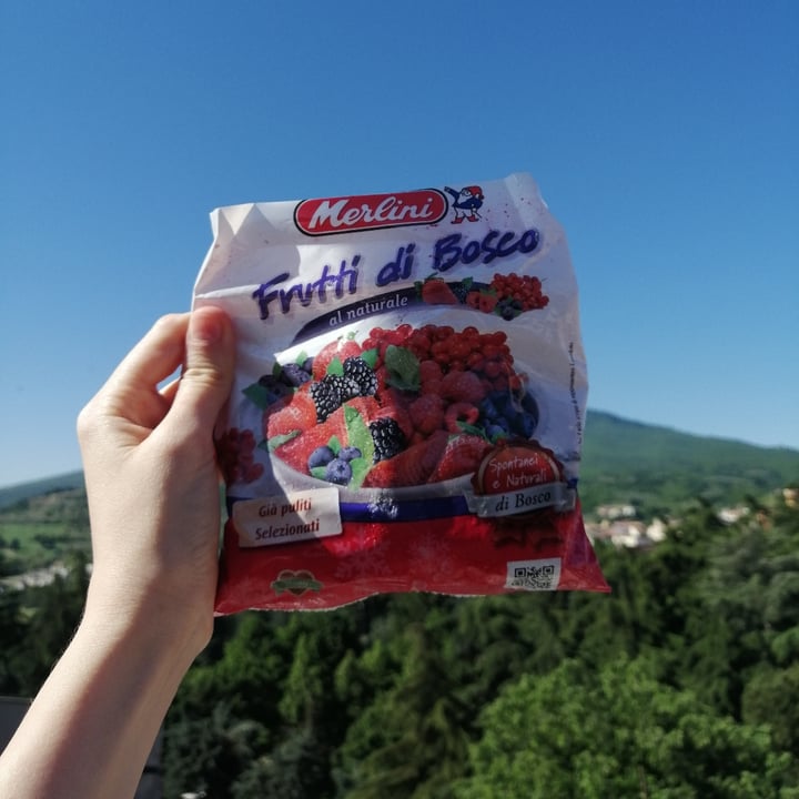 review photo of Merlini Frutti di bosco shared by @alternema on 20 May 2022 - review