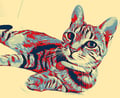 thecuriousamateur @thecuriousamateur profile image