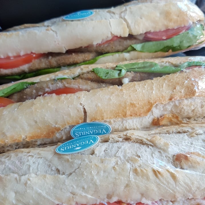 photo of Veganius Baguette Mila De Seitan shared by @piia on  20 Aug 2020 - review
