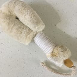 GingerChi