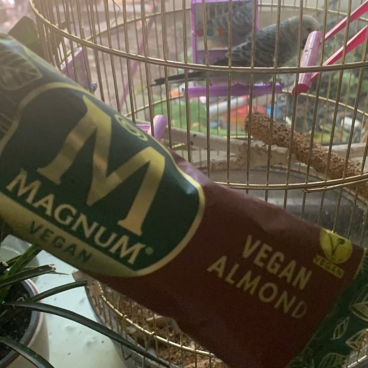 photo of Magnum Magnum Vegan Almond shared by @mousy on  01 Jul 2021 - review