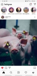 @veganismisthekey profile image
