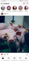 veganismisthekey