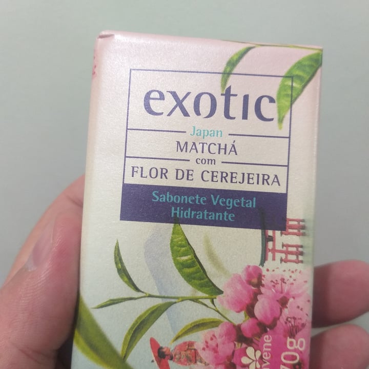 photo of Davene Exotic Flor De Cerejeira shared by @marciorocha on  06 Jul 2021 - review