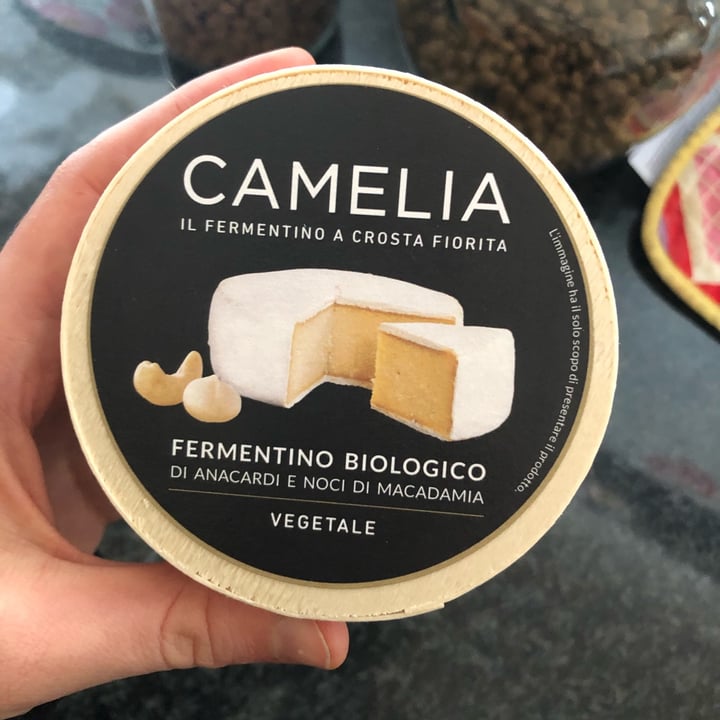 review photo of Fermé Camelia shared by @camiele on 29 Mar 2022 - review