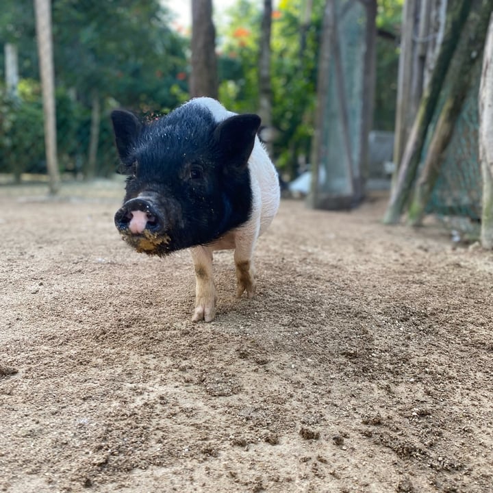 review photo shared by @juliah24 on 04 Mar 2022 - post