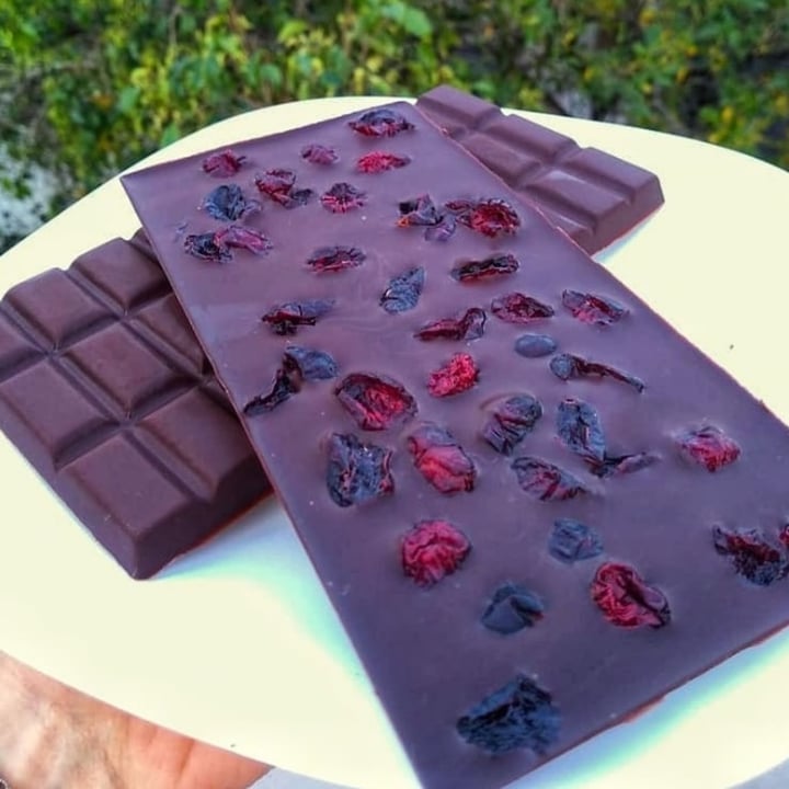 photo of Cocoa Plant Based Chocolate con arándanos shared by @thinkveggie on  19 Dec 2020 - review