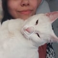 nanuhry @nanuhry profile image