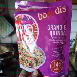 Bondis