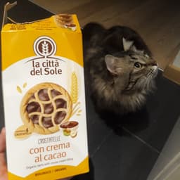La città del sole