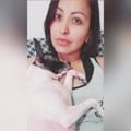 areliruiz @areliruiz profile image