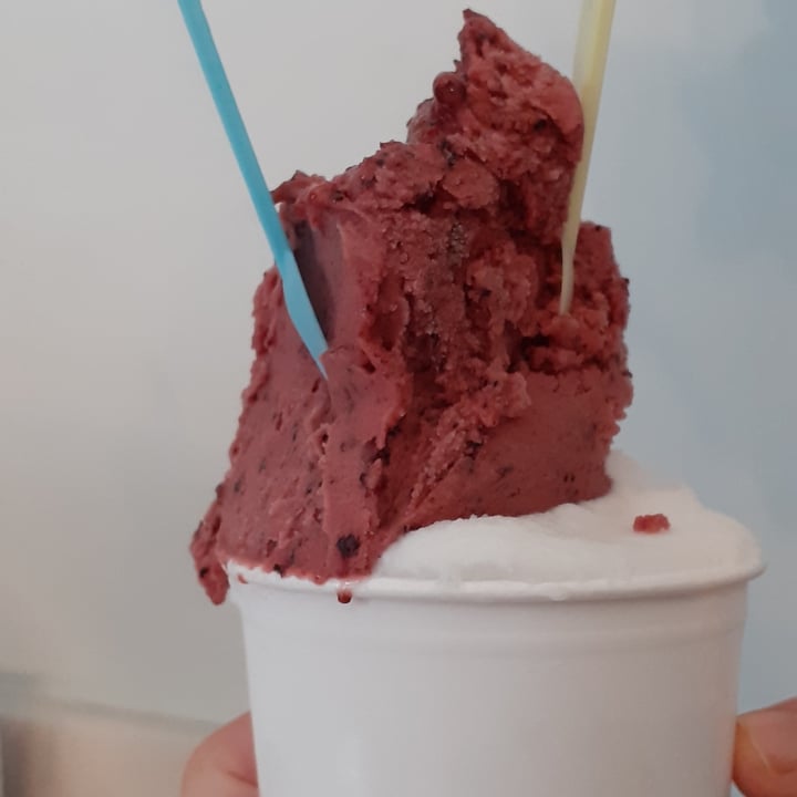 review photo of Heladería Felici e Contenti Helado (De Coco Y De Arándanos) shared by @luz22 on 13 Aug 2021 - review