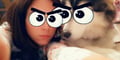 diafragma @diafragma profile image