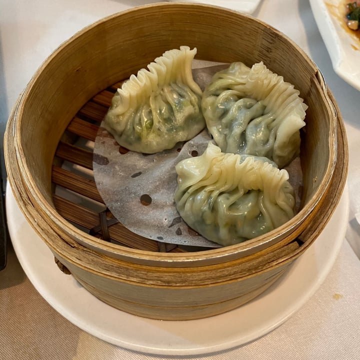 photo of Yang Shin Vegetarian Restaurant Steamed dumplings with vegetables and mushrooms 田園蔬菜餃 shared by @viviantothewu on  01 Jun 2020 - review