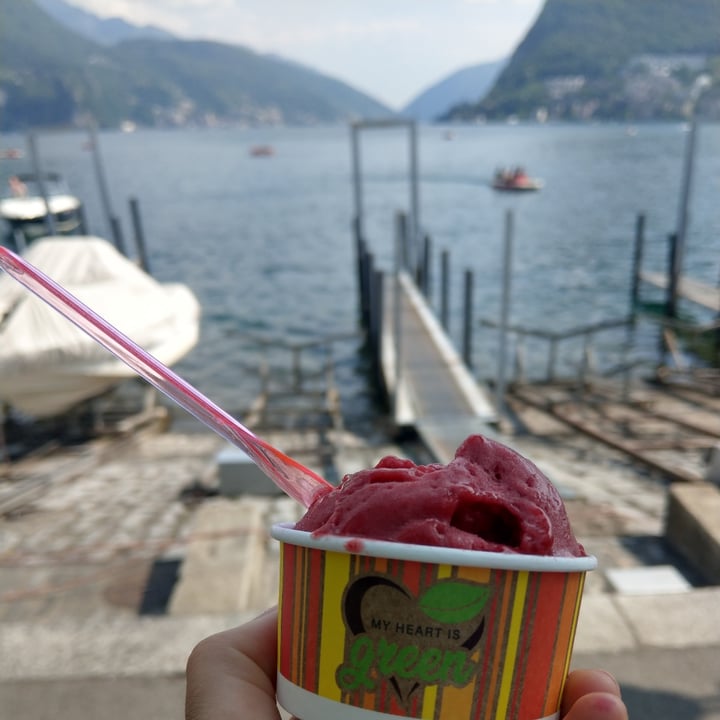 photo of Gelateria naturale Chez Guglielm Mixed berries Ice cream shared by @chiaraclaire on  14 May 2022 - review