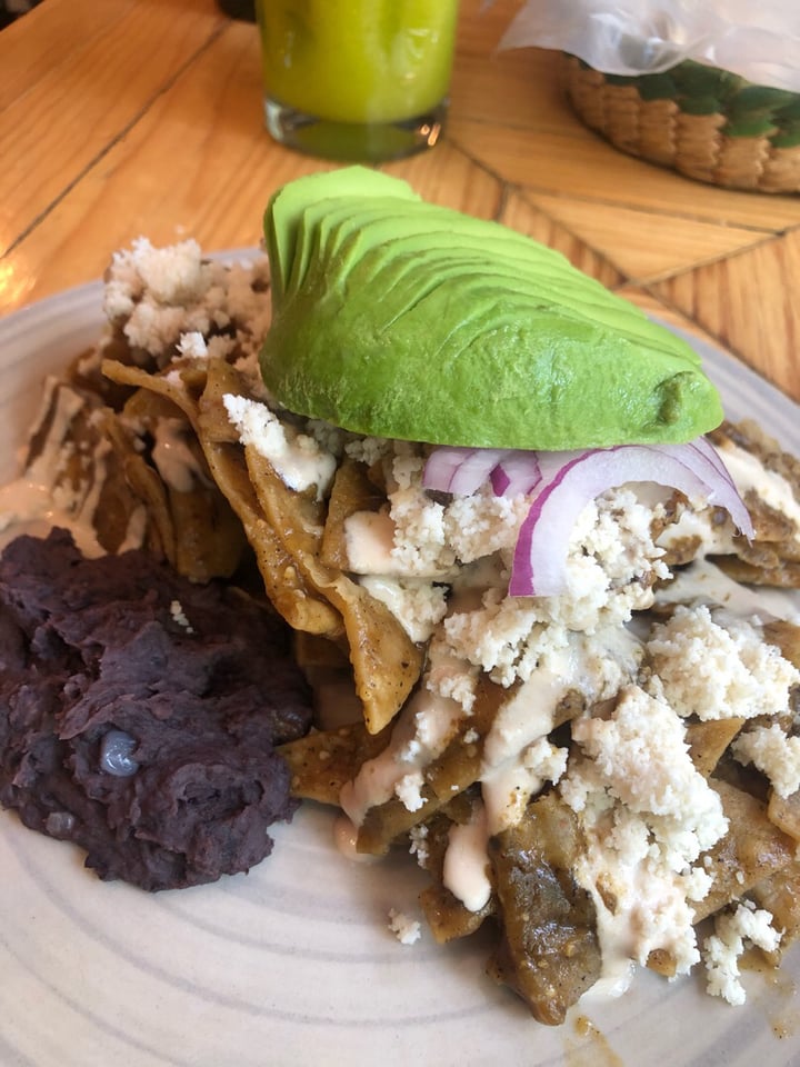 photo of Aura Vegana Chilaquiles shared by @instintovegano on  28 May 2019 - review