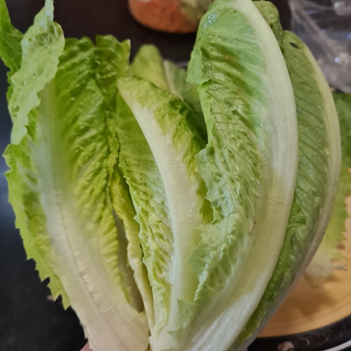photo of Maledi Fresh Organic Cos Lettuce shared by @veronicagroen on  24 Aug 2022 - review