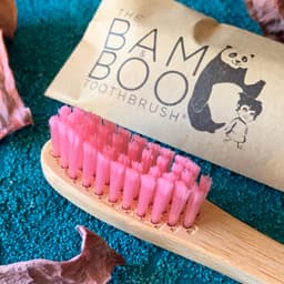 The Bam & Boo