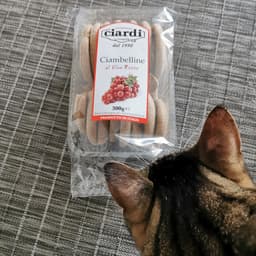 Ciardi