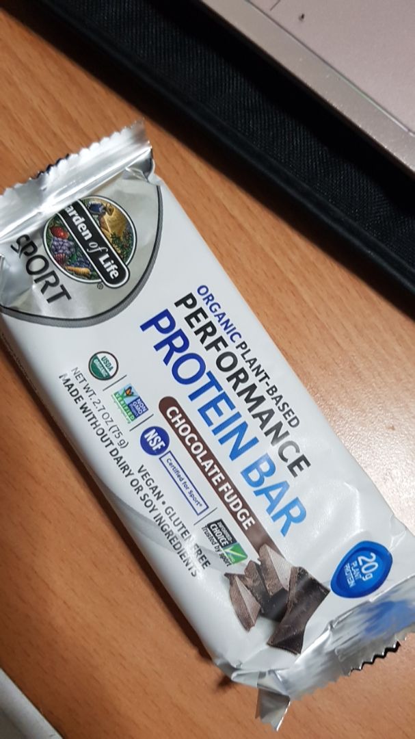 Garden of Life Chocolate protein bar Reviews abillion