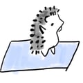 avatar of hedgeshogs