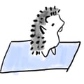 hedgeshogs @hedgeshogs profile image