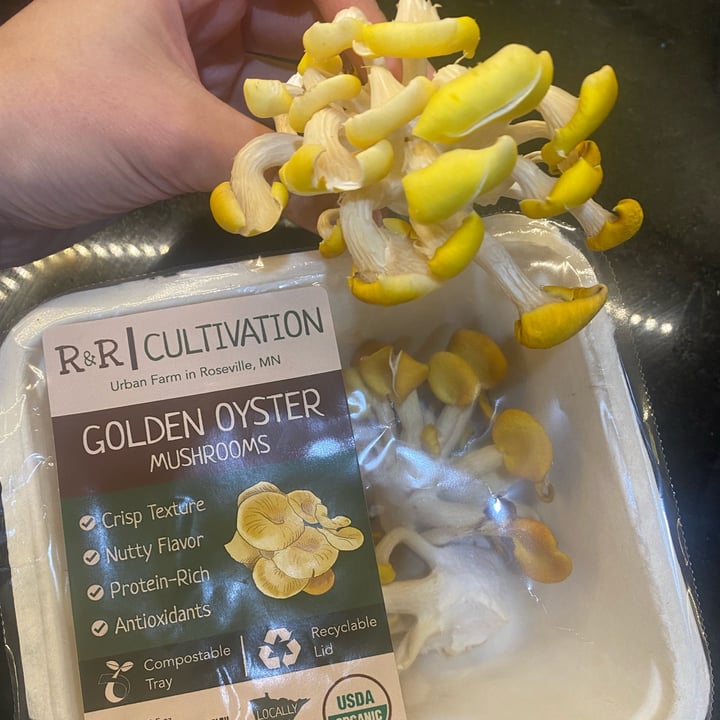 photo of R&R Cultivation Golden Oyster Mushroom shared by @hnmk on  20 May 2022 - review