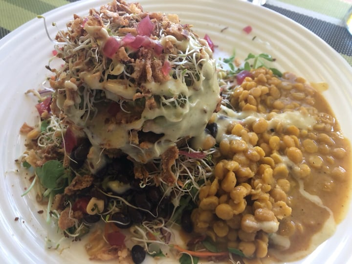 photo of The Sunshine Food Sprouting Co Bunless Burger shared by @ethanmyers on  09 Nov 2019 - review
