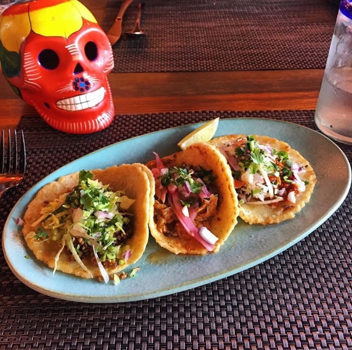 photo of Charly’s Vegan Tacos Charly’s Signature Taco Trio shared by @ecolover on  23 Feb 2020 - review